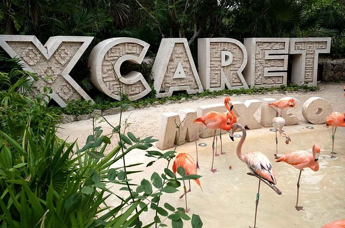 Xcaret Plus Full Day Tour - Save energy for México Espectacular