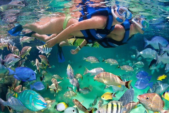 Xel ha All Inclusive - Why Xel-Ha works as a full-day outing