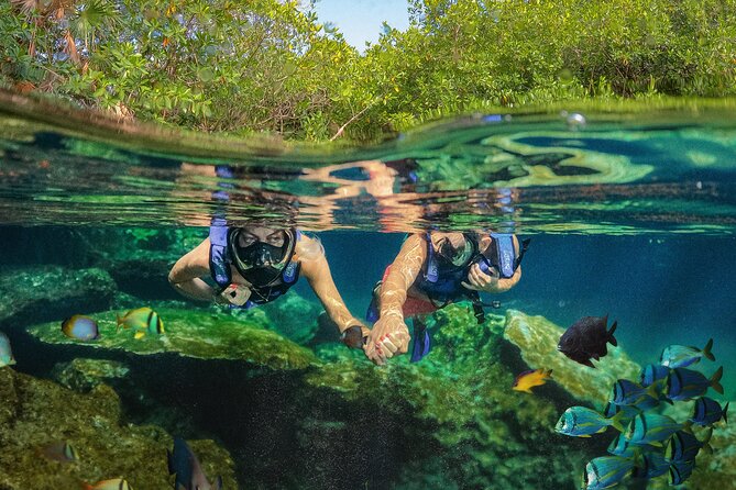 Xel-Ha Park Admission Tickets - Getting started at 8:30am