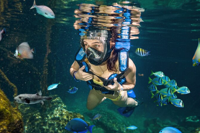 Xel-Ha Tickets with Transportation included - Choosing between Light and All-Inclusive access