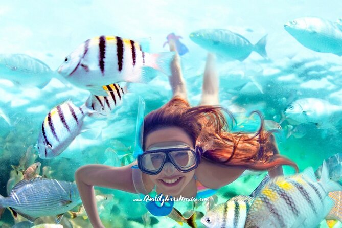 Xelha water park with transportation - Stone of Valor, zip lines, and Chuck Kay Flight